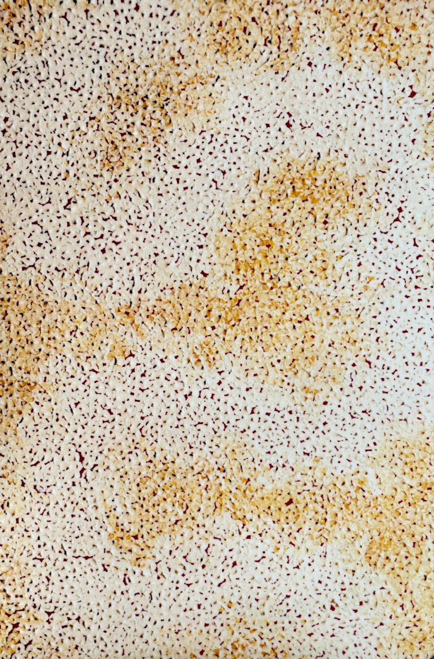 Rug | Printed | 'Earth Cycles'