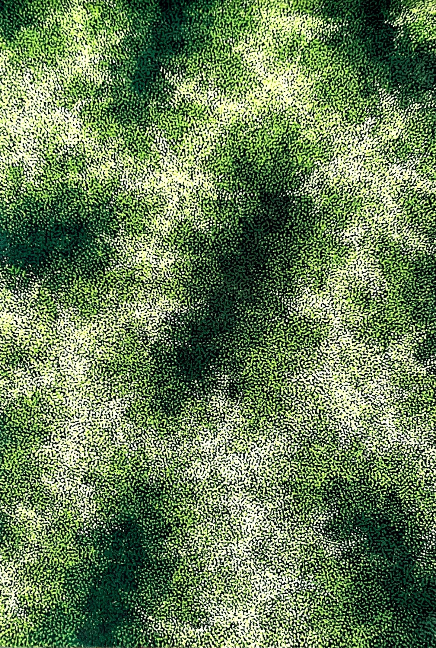 Rug | Printed | 'Bush'