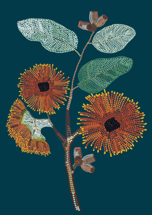 Eucalyptus | Print